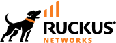 Ruckus Networks